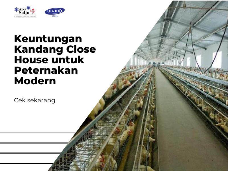 Keuntungan Kandang Close House untuk Peternakan Modern