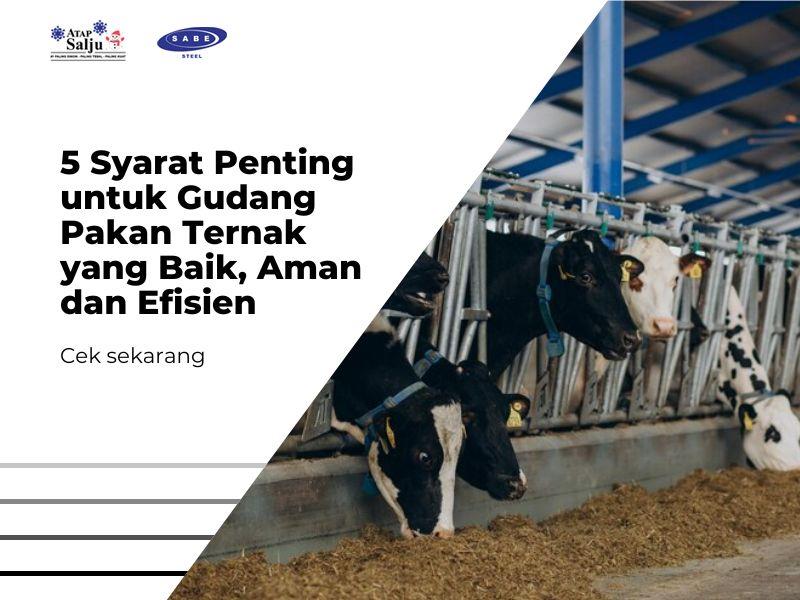 5 Syarat Penting untuk Gudang Pakan Ternak yang Baik, Aman dan Efisien