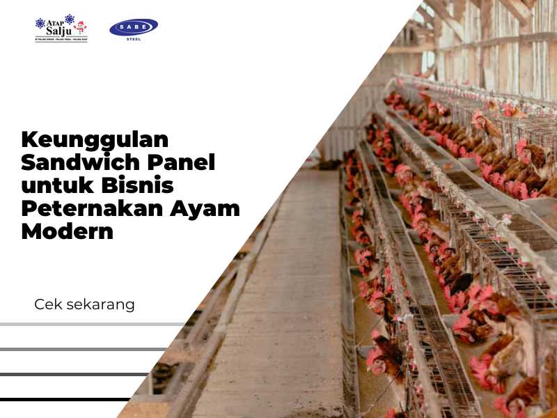 Keunggulan Sandwich Panel untuk Bisnis Peternakan Ayam Modern