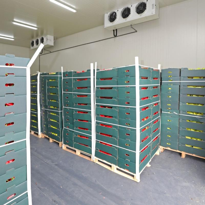 Mengapa Sandwich Panel Ideal untuk Cold Storage dan Kamar Pendingin?