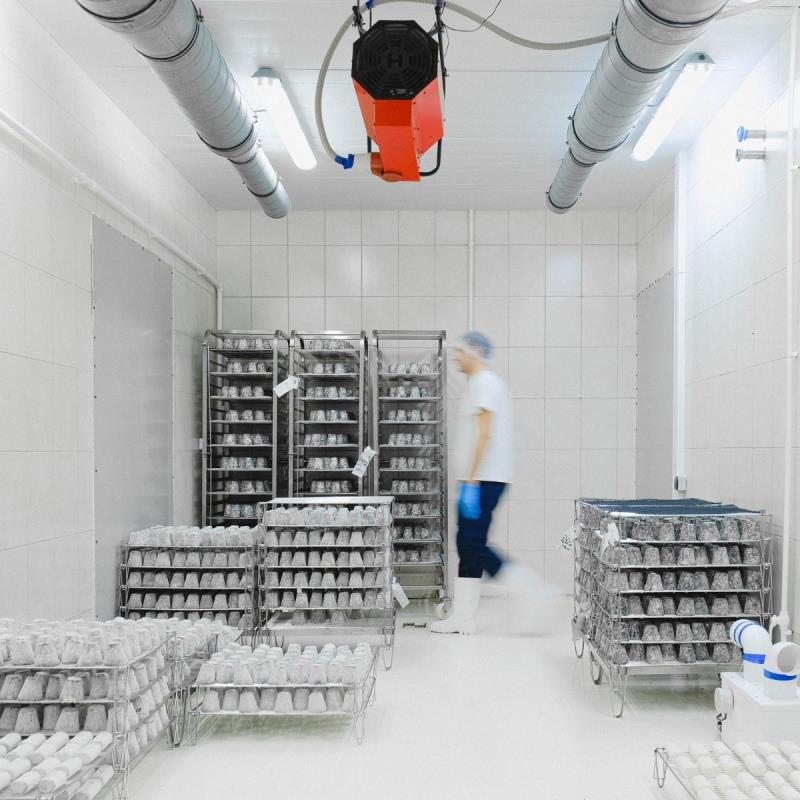 Aplikasi Sandwich Panel pada Cold Storage dan Kamar Pendingin