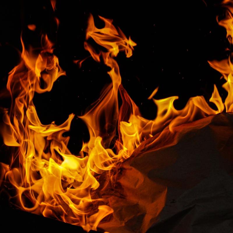 Solusi Tepat Memilih Multi Panel Freezer untuk Rumah yang Efisien dan Nyaman