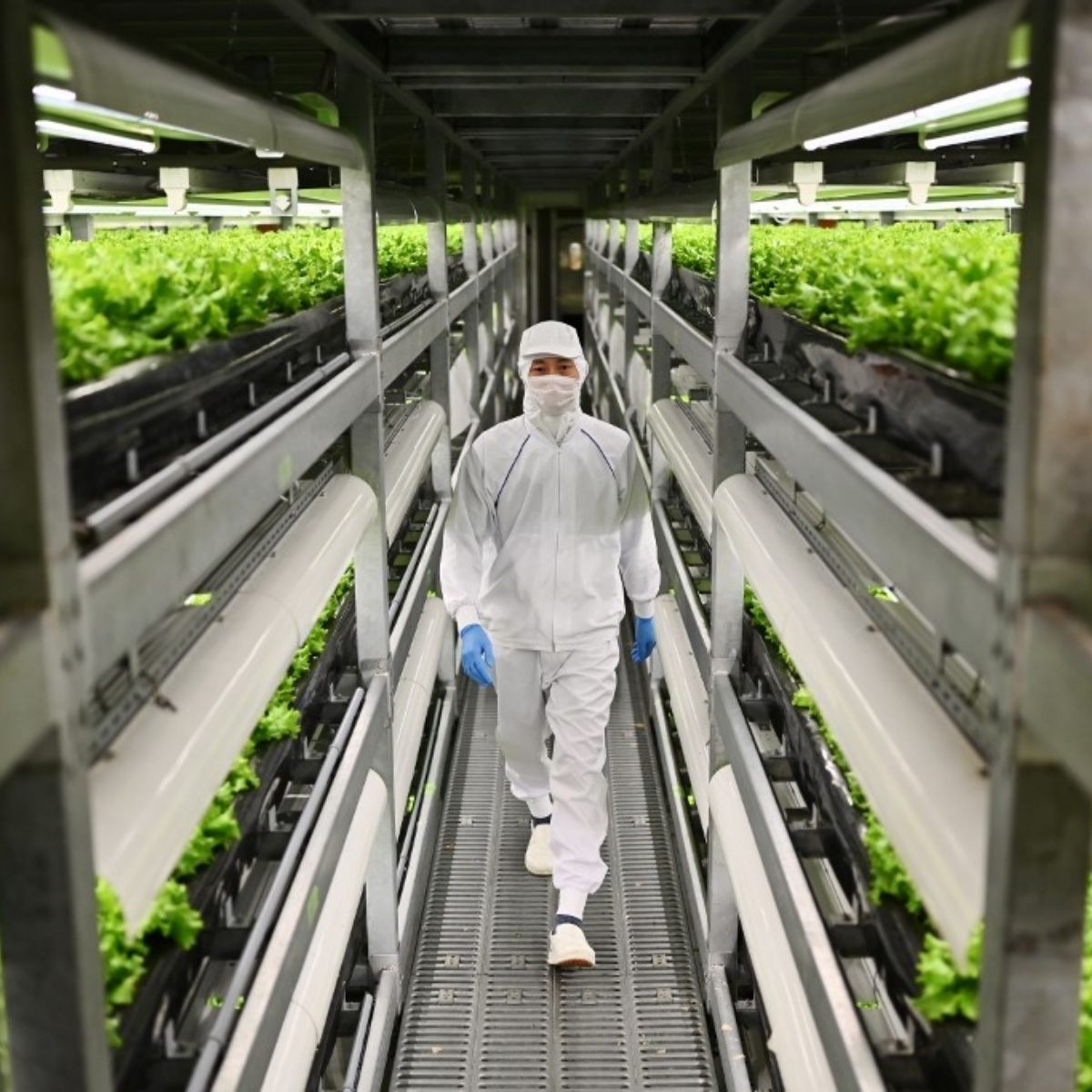 Penerapan di Lapangan