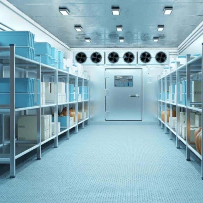 Fungsi dan Manfaat Cold Storage bagi Industri