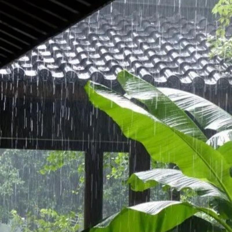 Masalah Umum di Musim Hujan Tanpa Insulasi